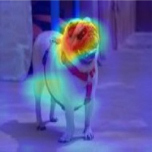 The Dual Identity in Explainable AI