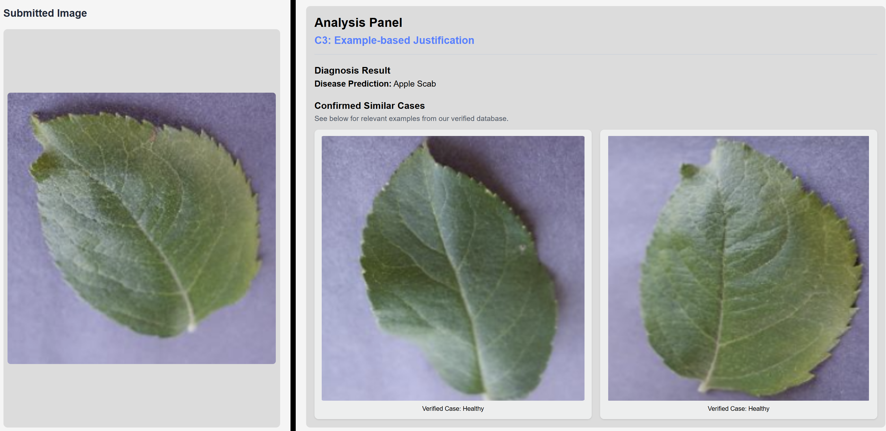 A Diagnosis is Not the Endpoint: What Agronomists Told Us about Explainable AI